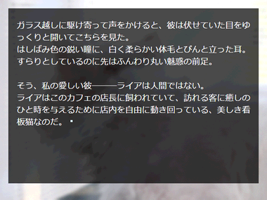 Image2.png