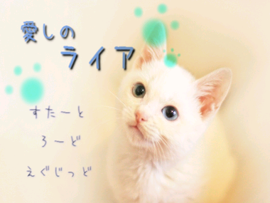 Image3.png