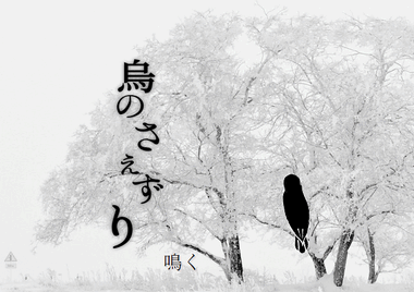 Image332.png
